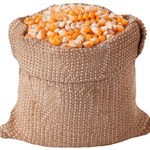 Whole Maize (Yellow corn)